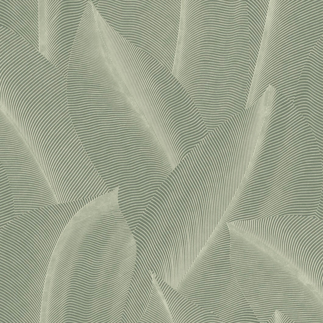 #color_Green #size_Sample