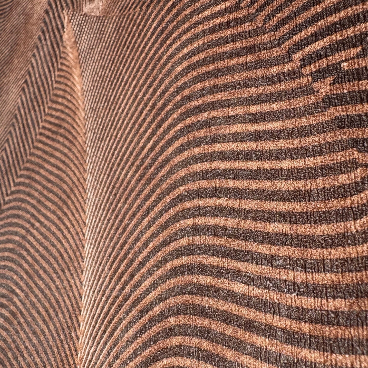 #color_Brown #size_Roll