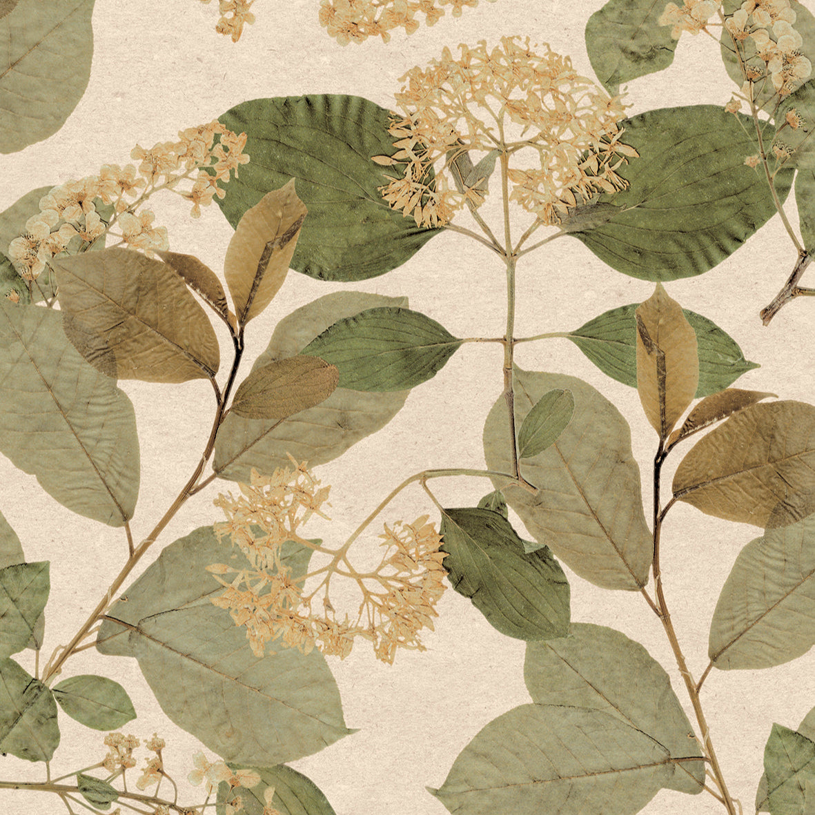 #color_Green #size_Sample