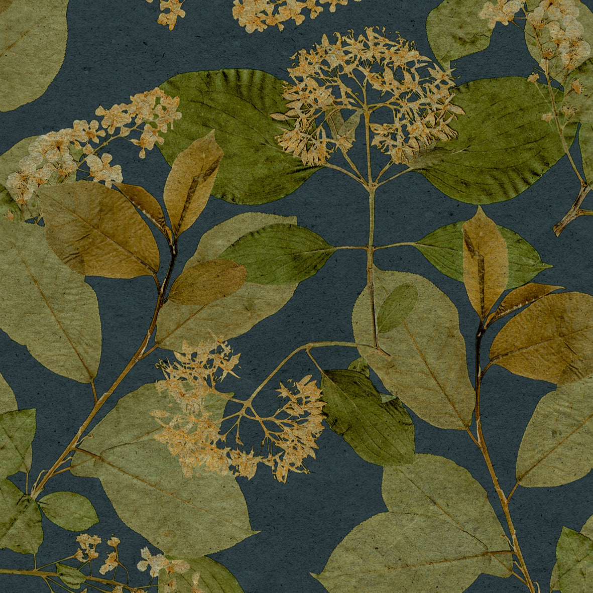 #color_Navy #size_Sample