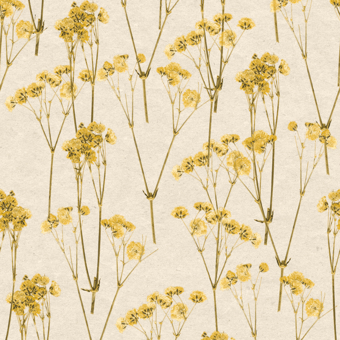 #color_Yellow