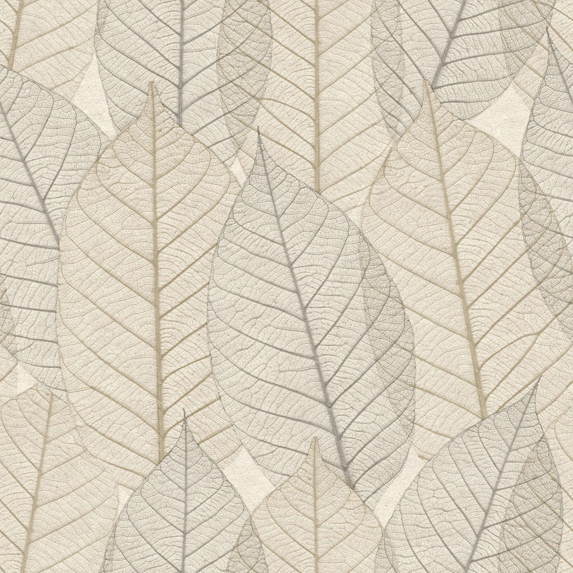 #color_Cream #size_Sample