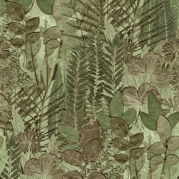 #color_Green #size_42 x 396