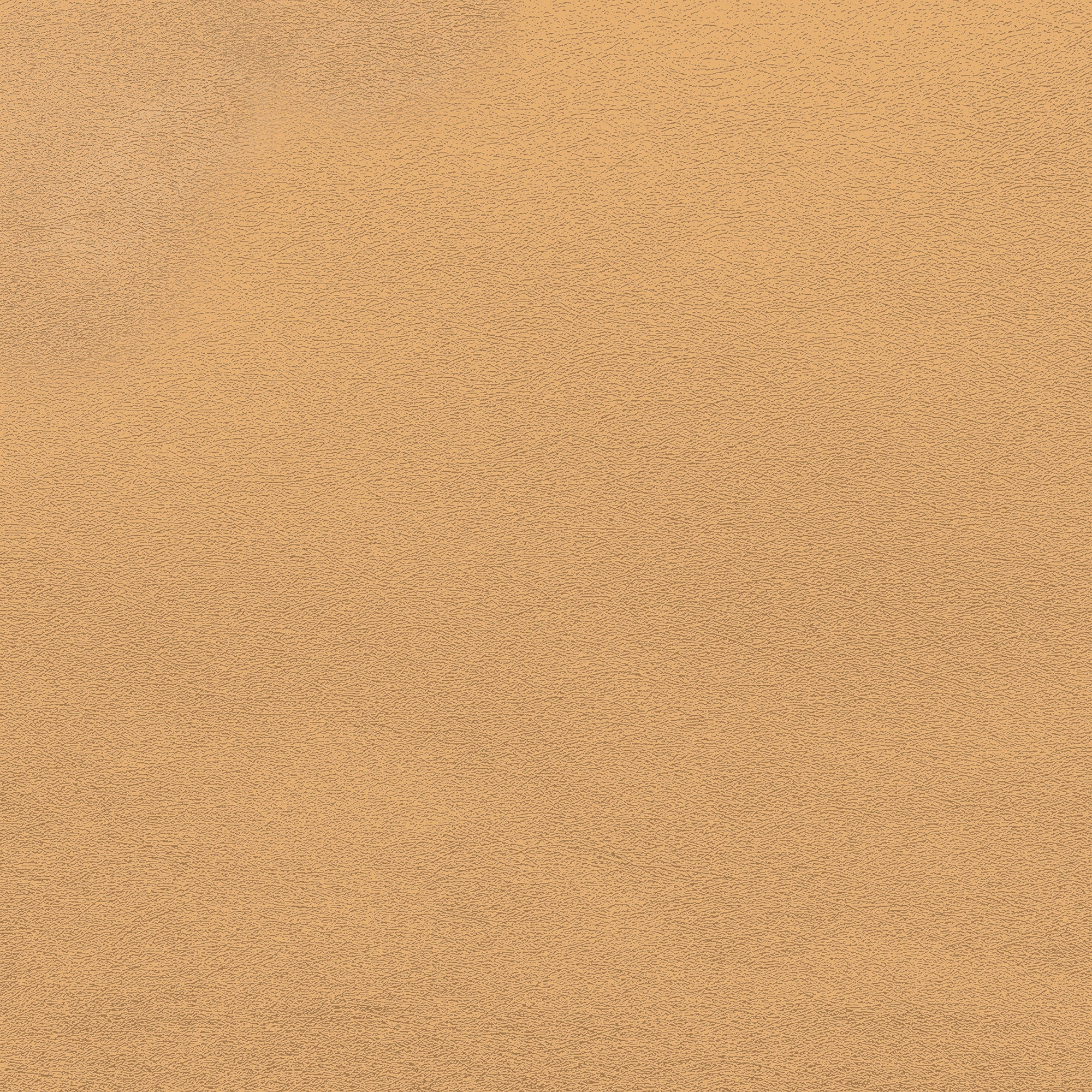 #color_Orange #size_Sample