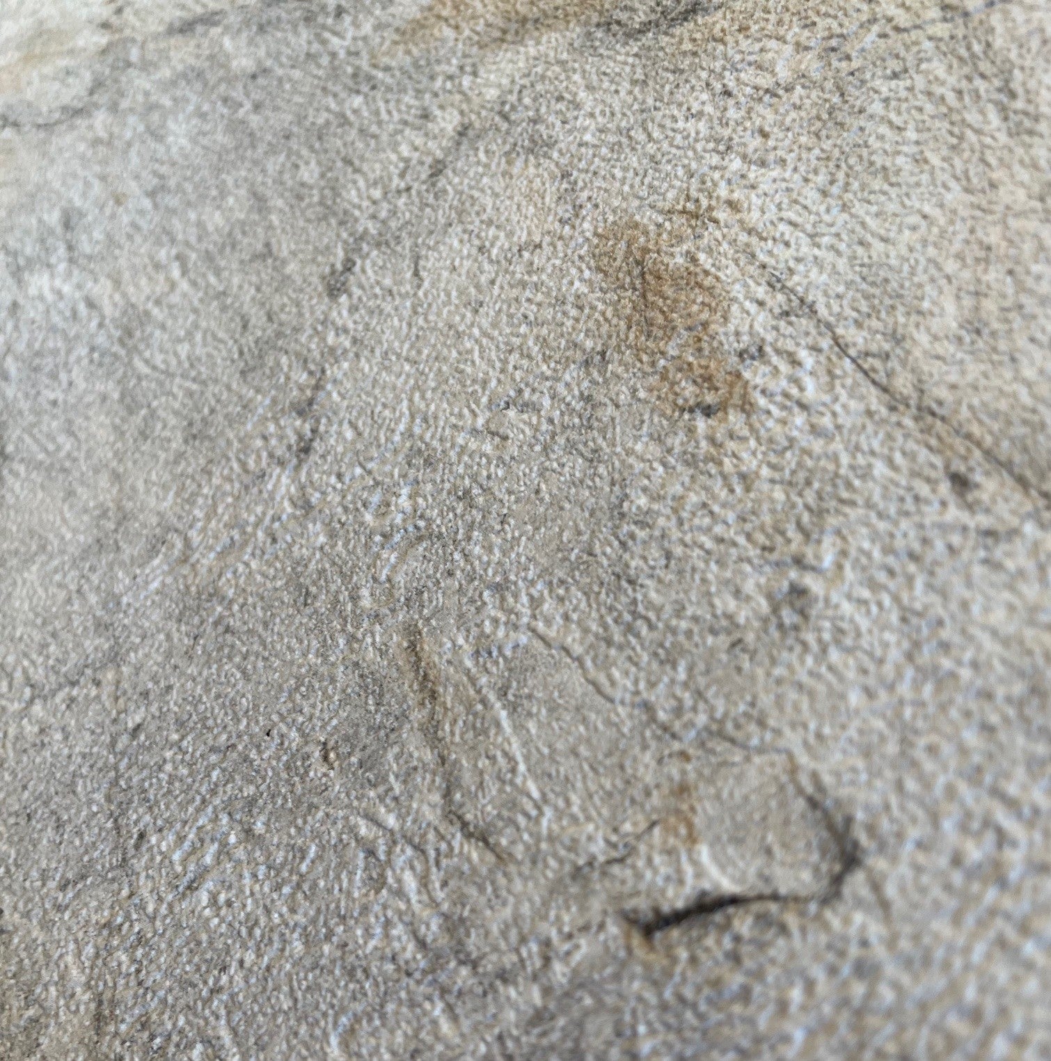 #color_Beige #size_Roll