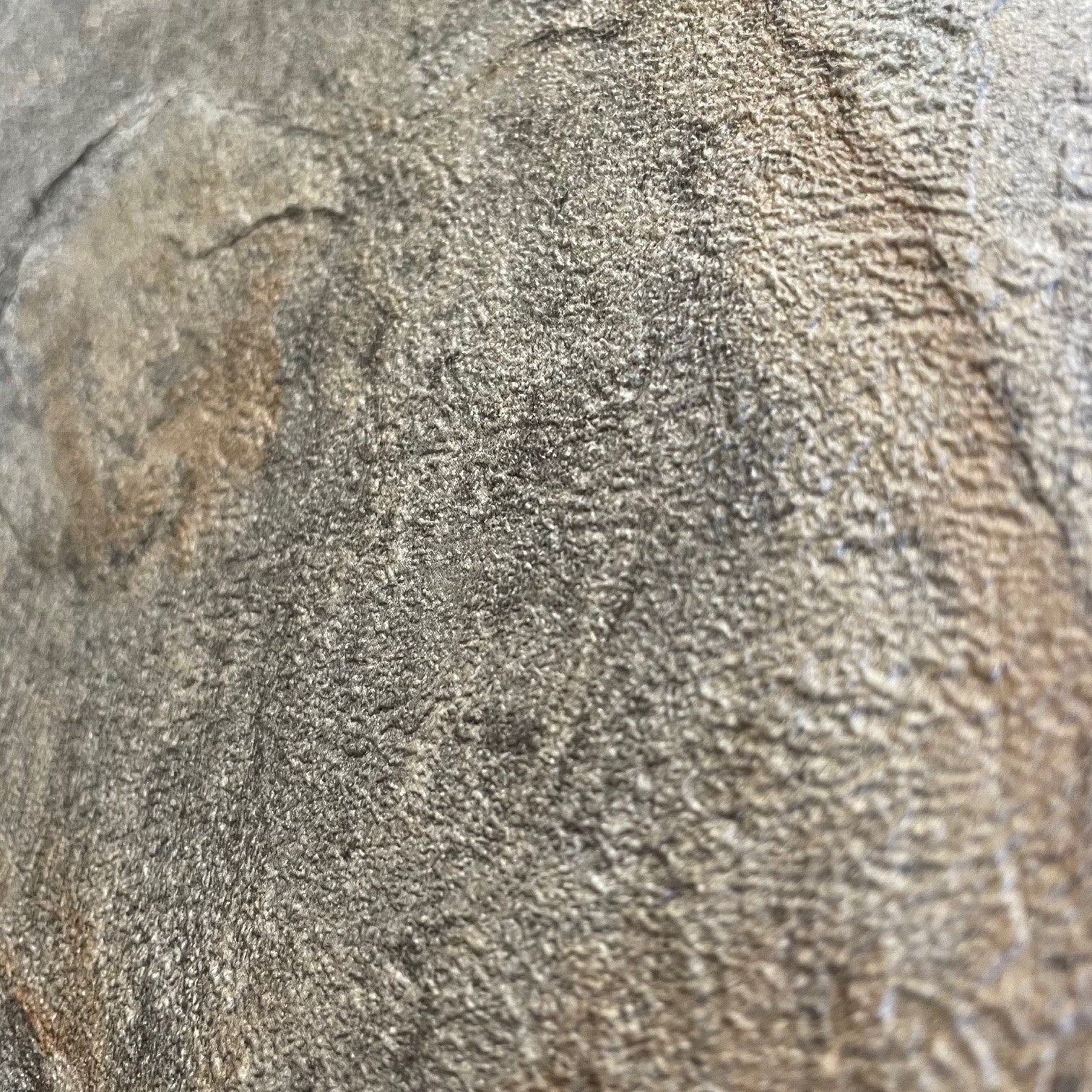 #color_Brown #size_Roll