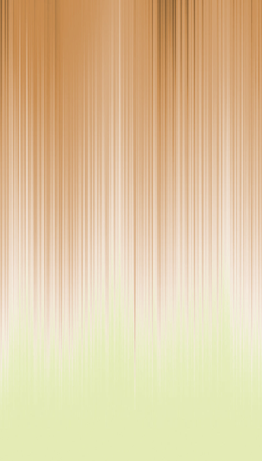 #color_Orange #size_