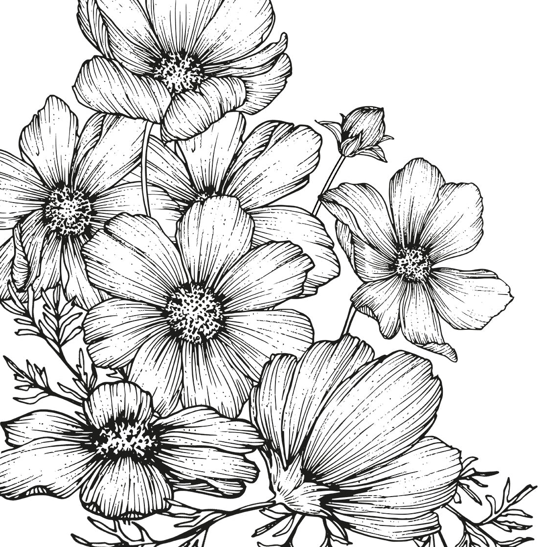 #color_White