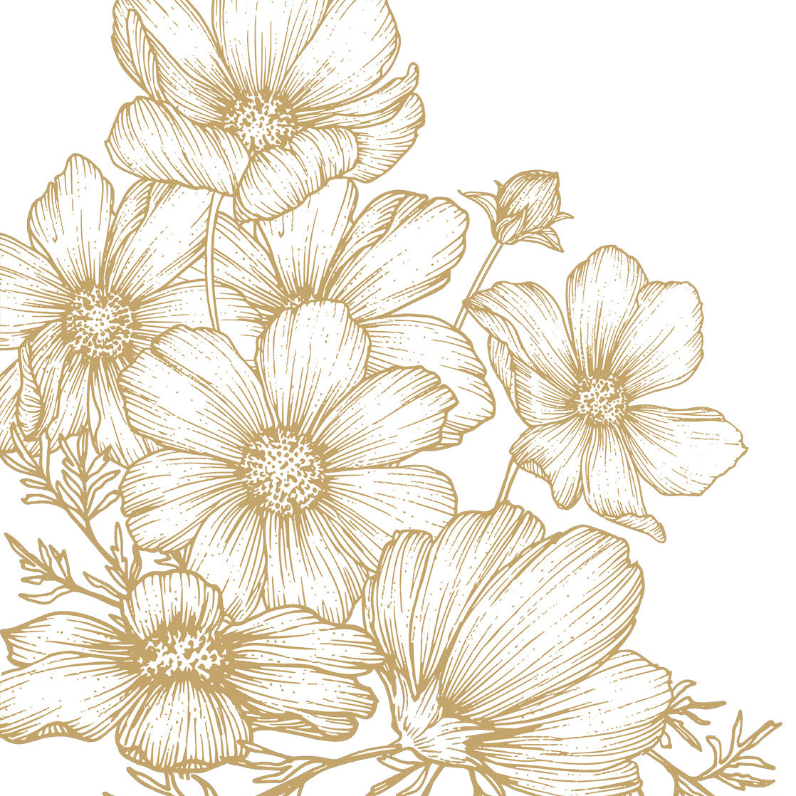 #color_Gold