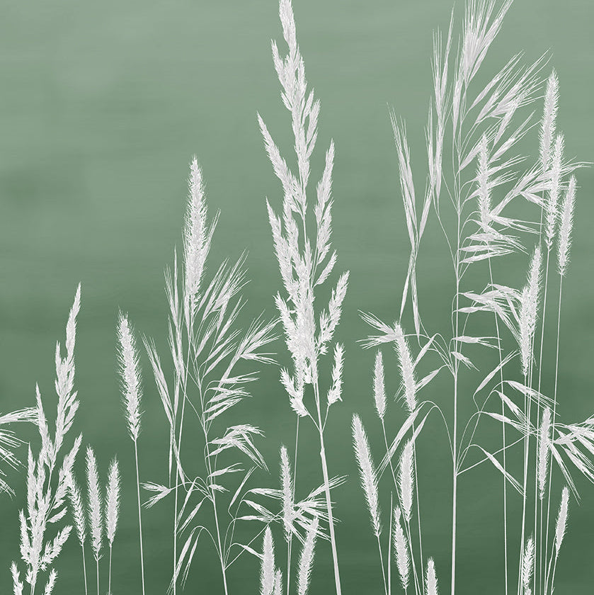 #color_Green
