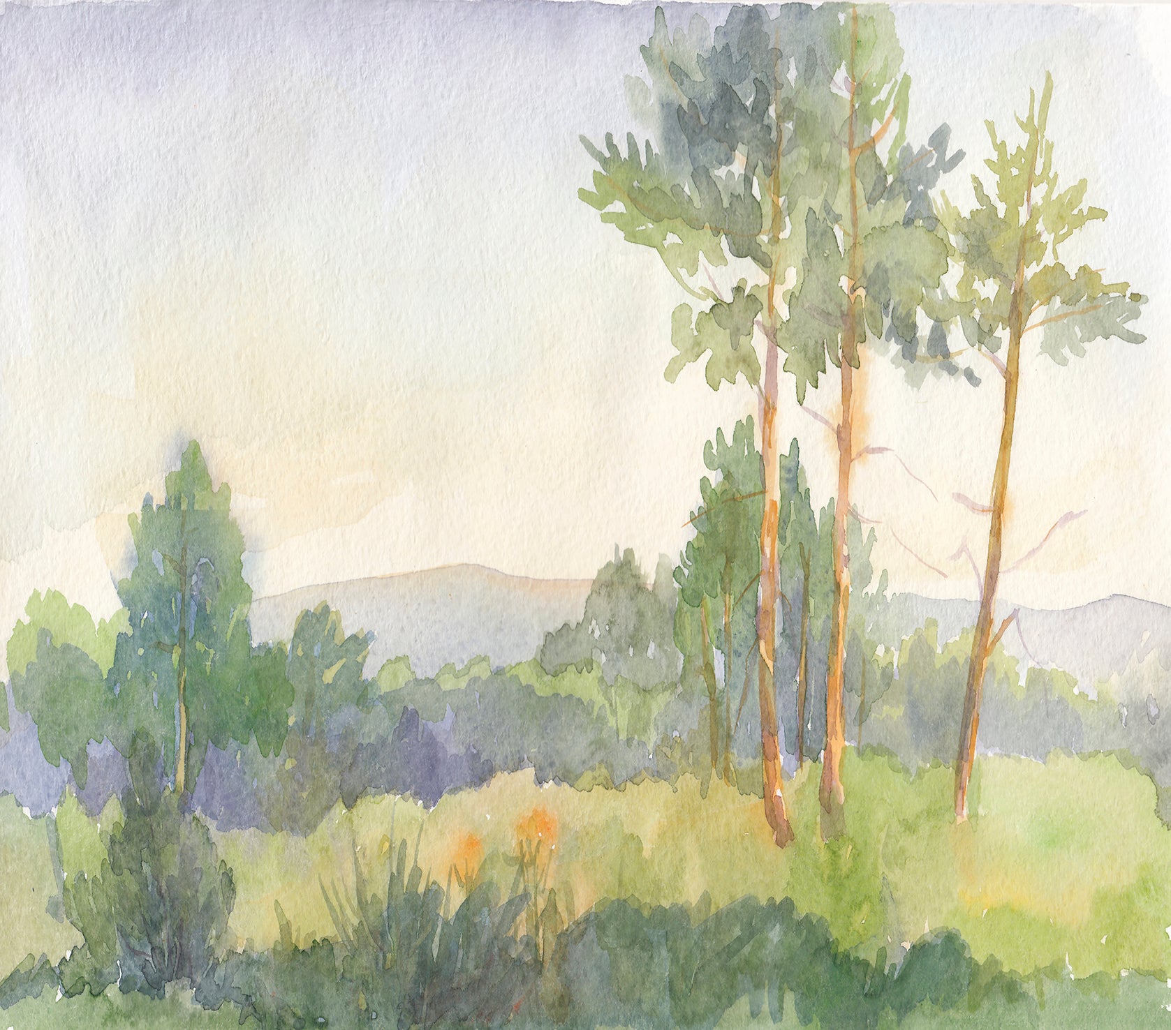 #color_Multi #size_104 x 108