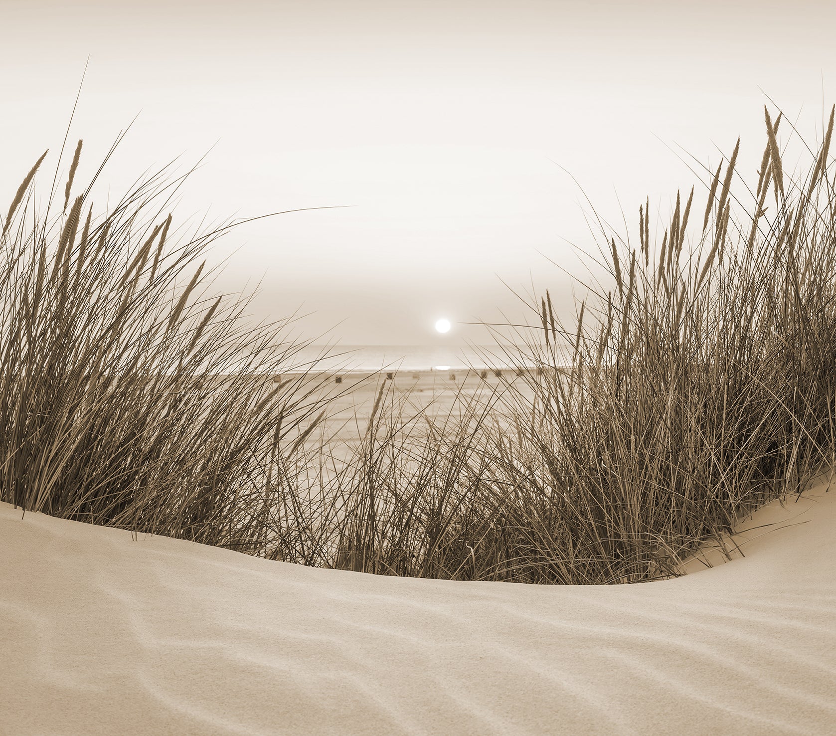 #color_Sepia