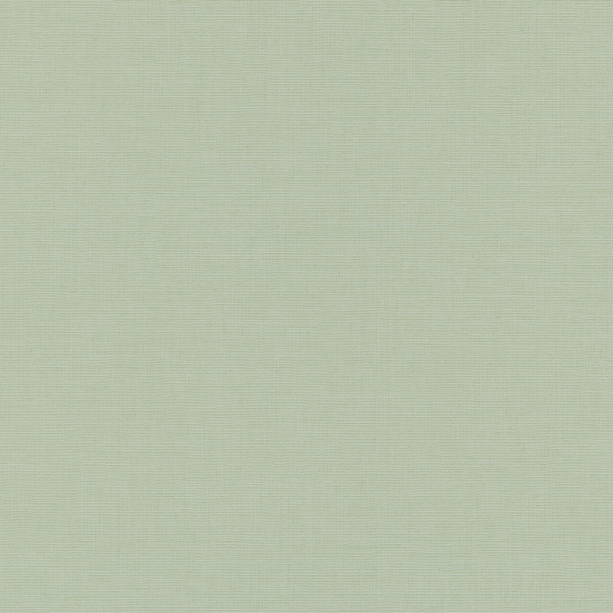 #color_Green #size_Roll