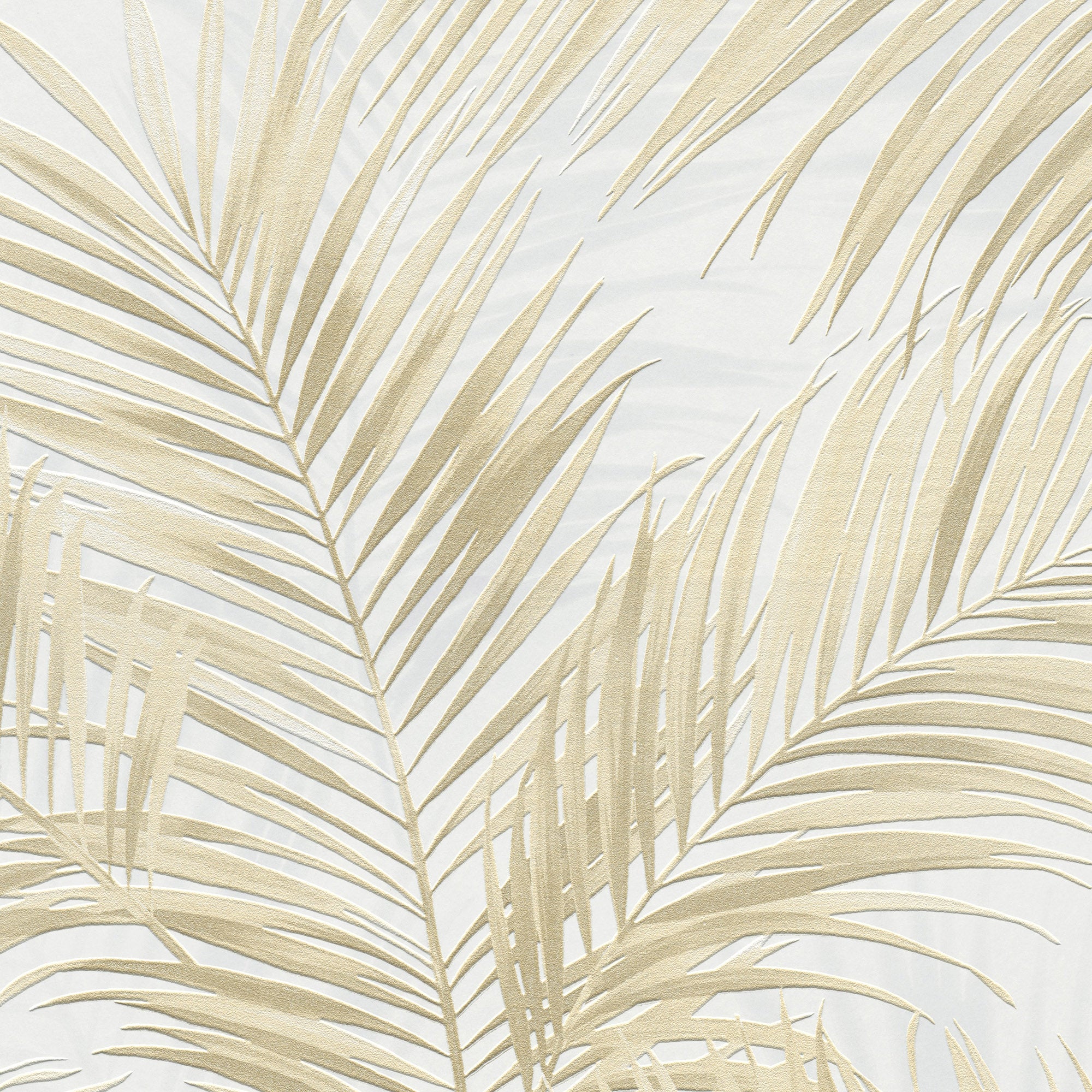 #color_Beige #size_Sample