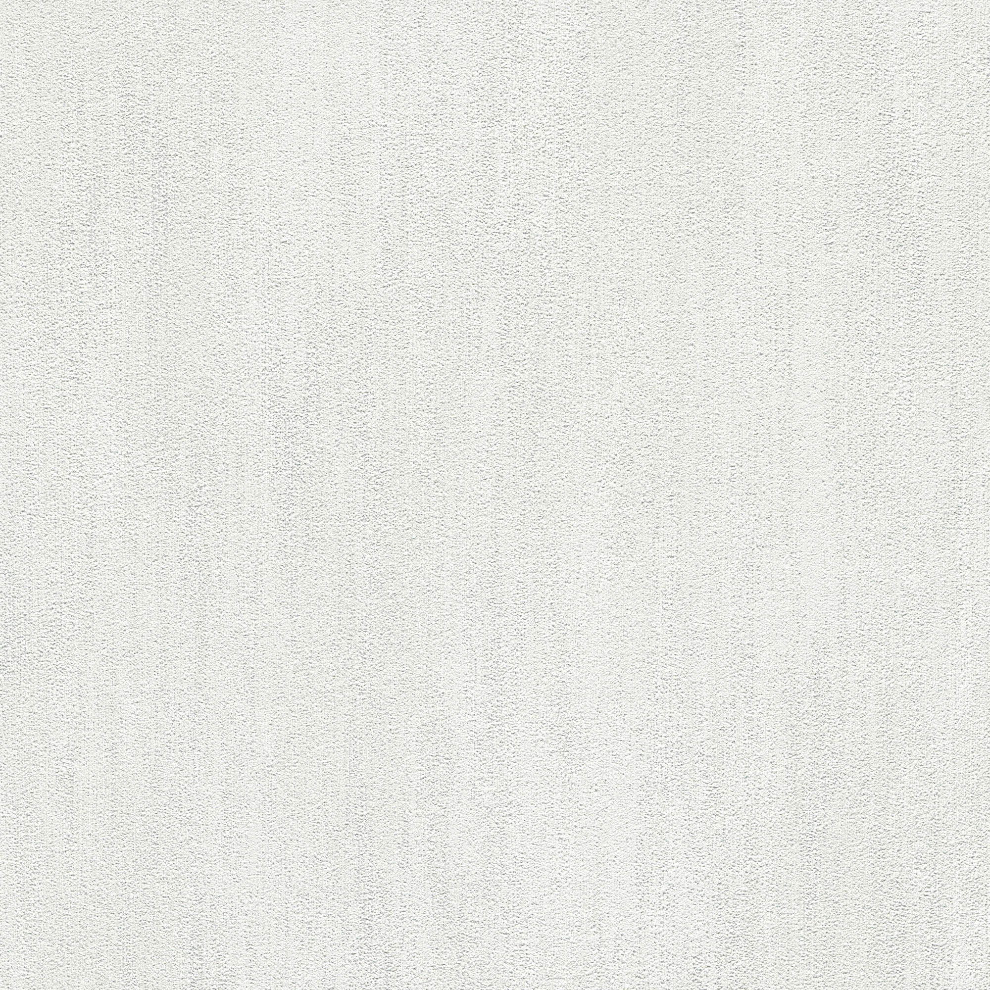 #color_Light Gray