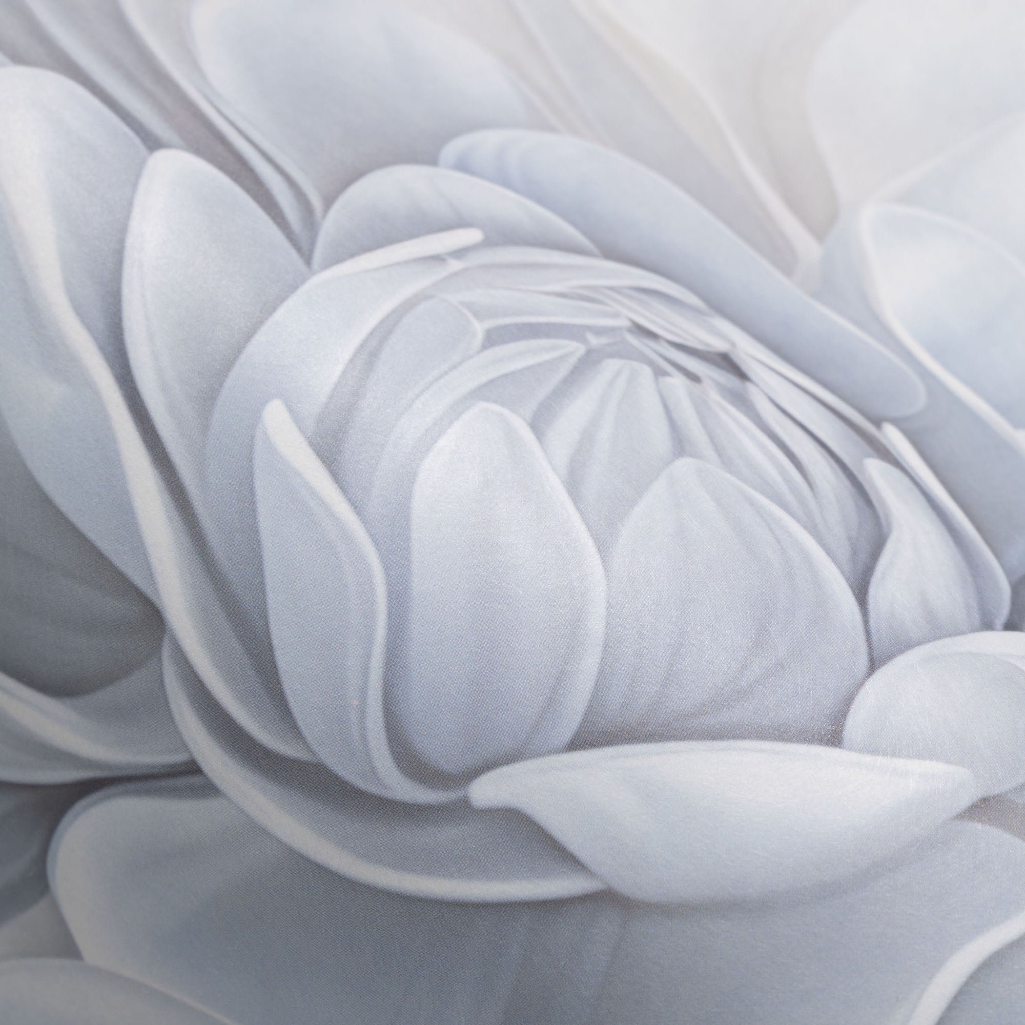 #color_light grey