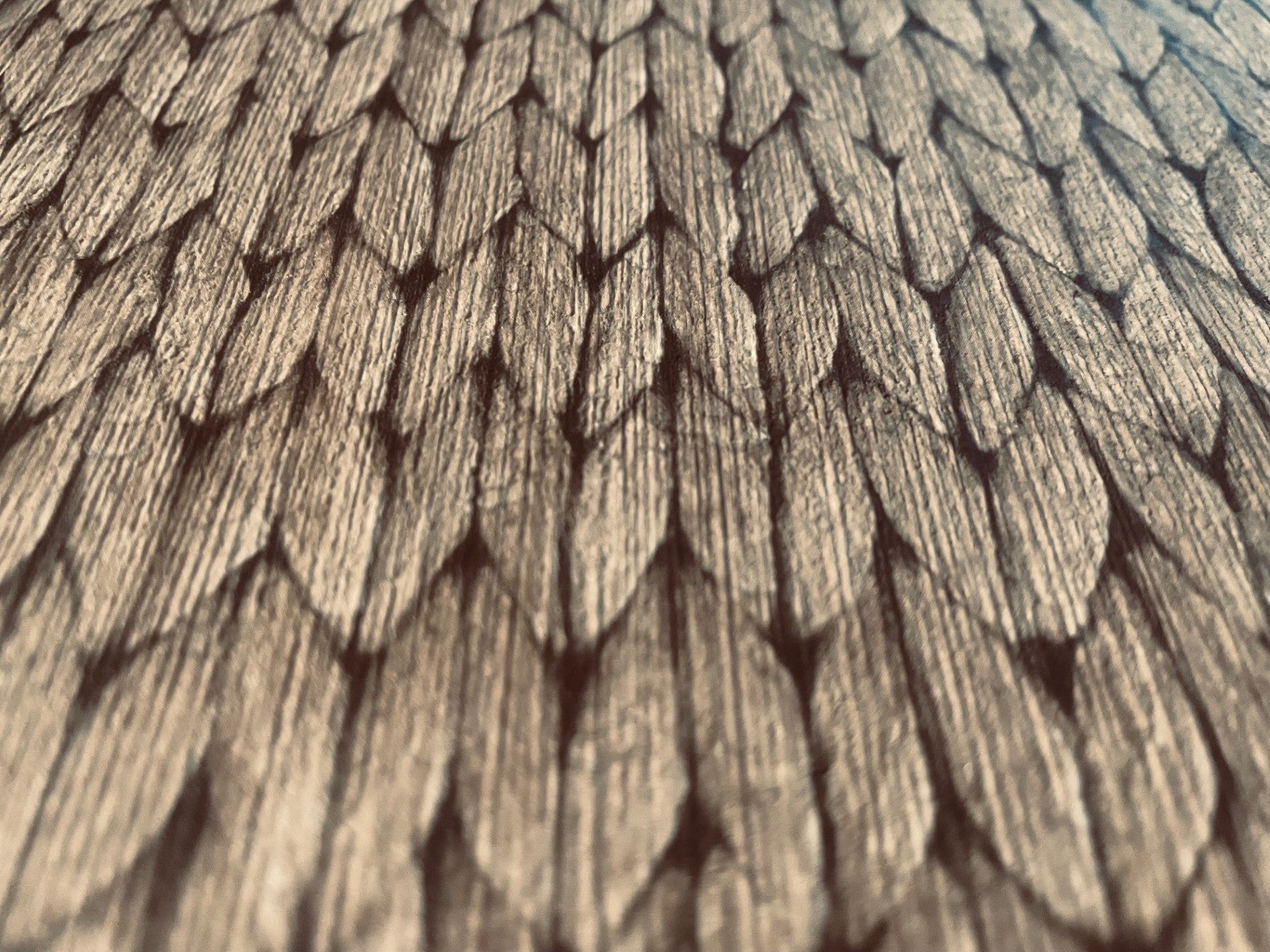 #color_taupe