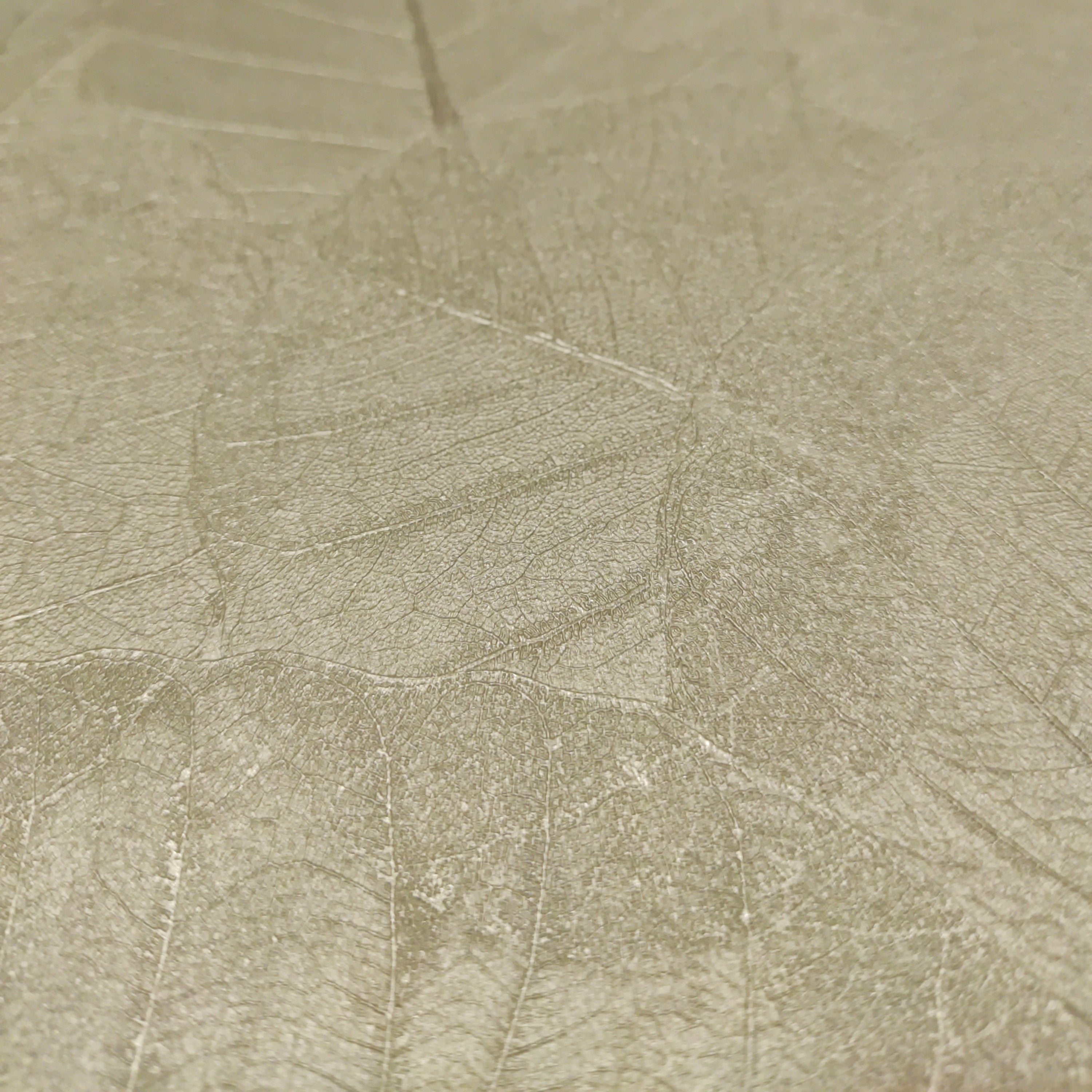 #color_silver beige on foil