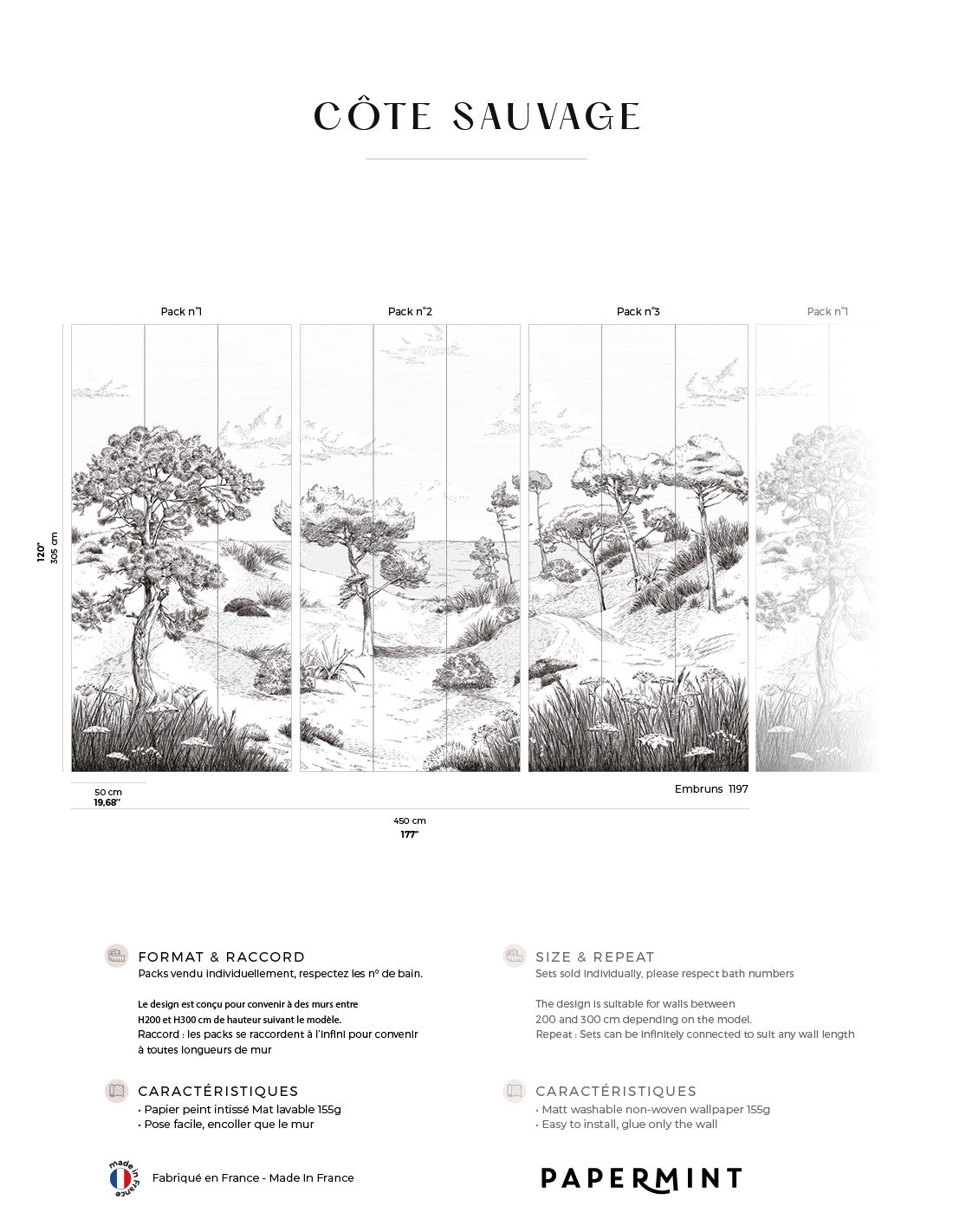 Wild Coast Wall Mural