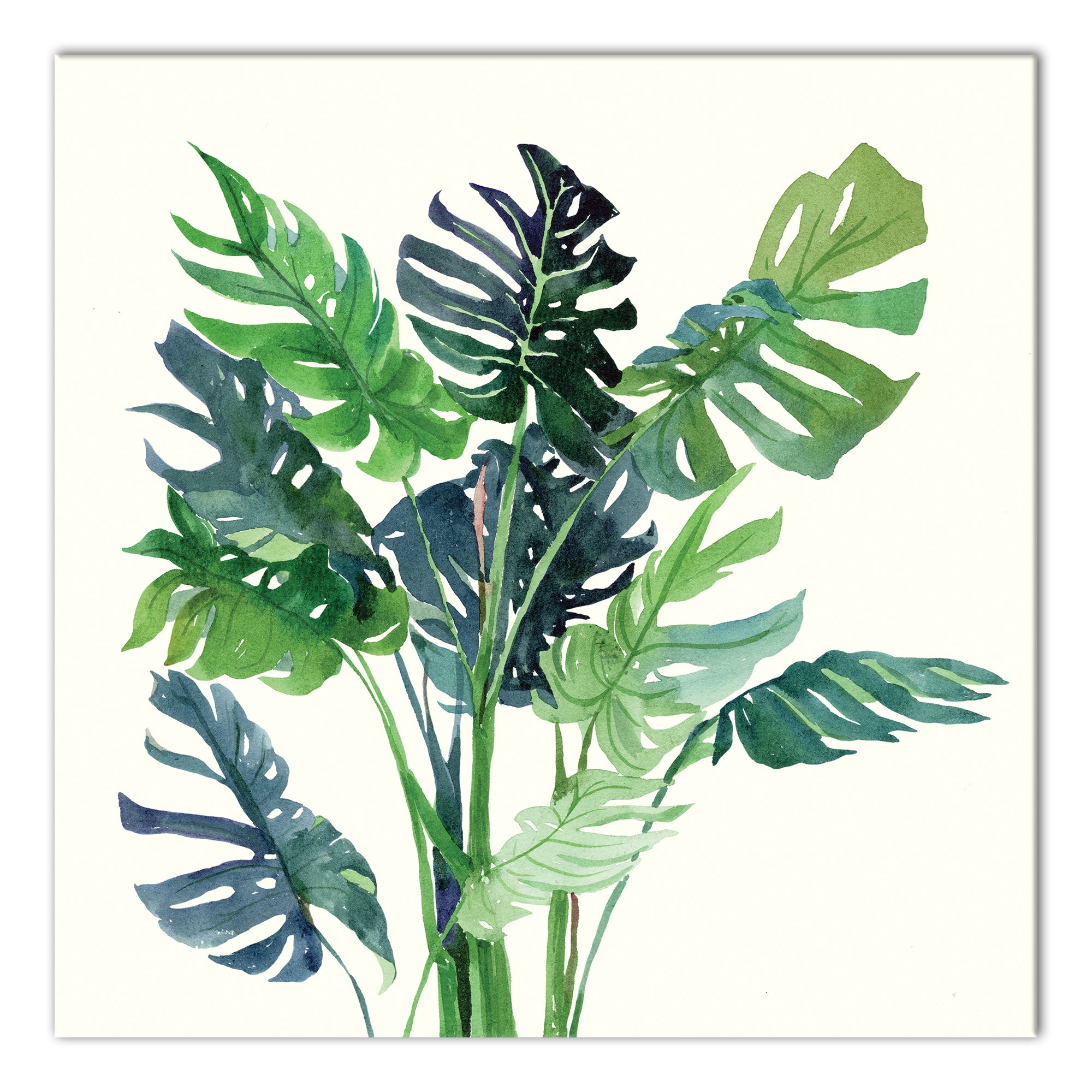#color_Green