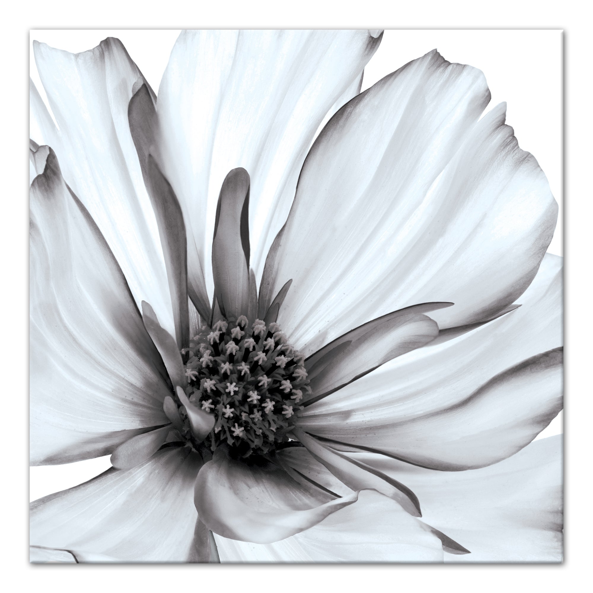 #color_Gray