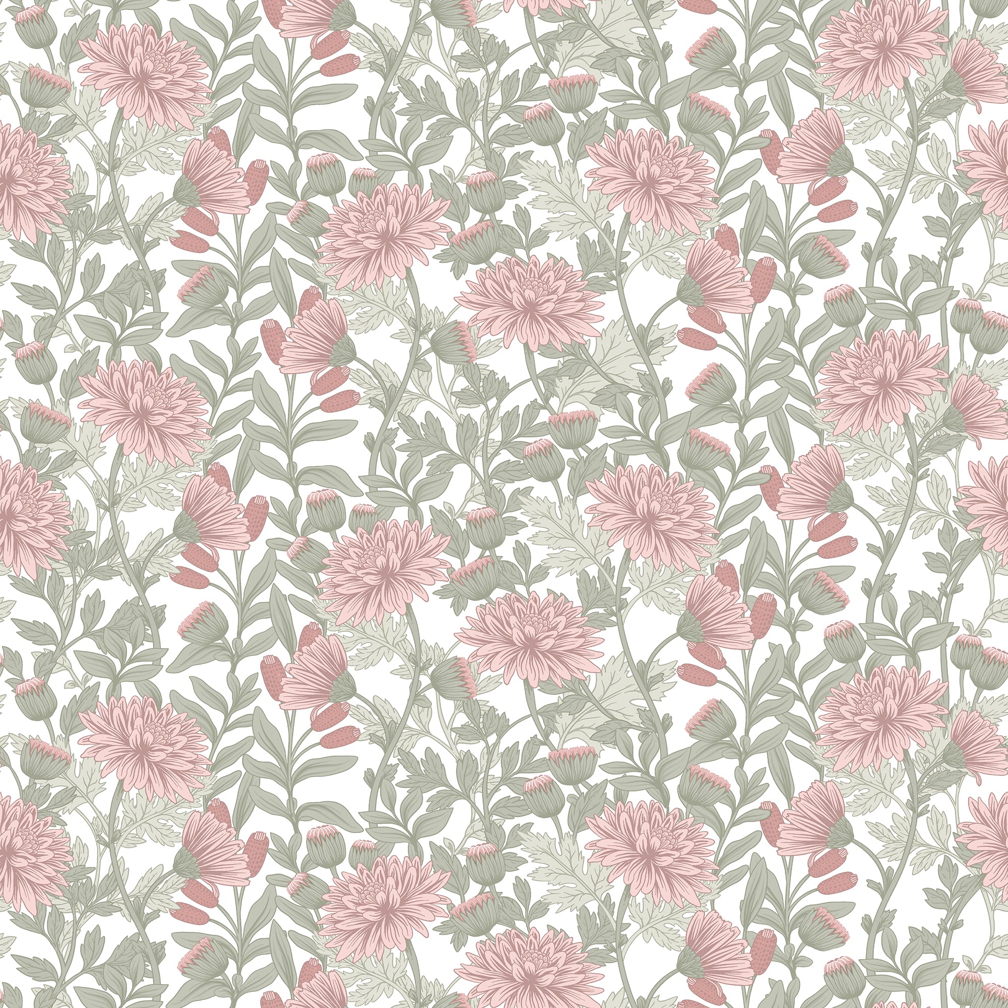 #color_Pink