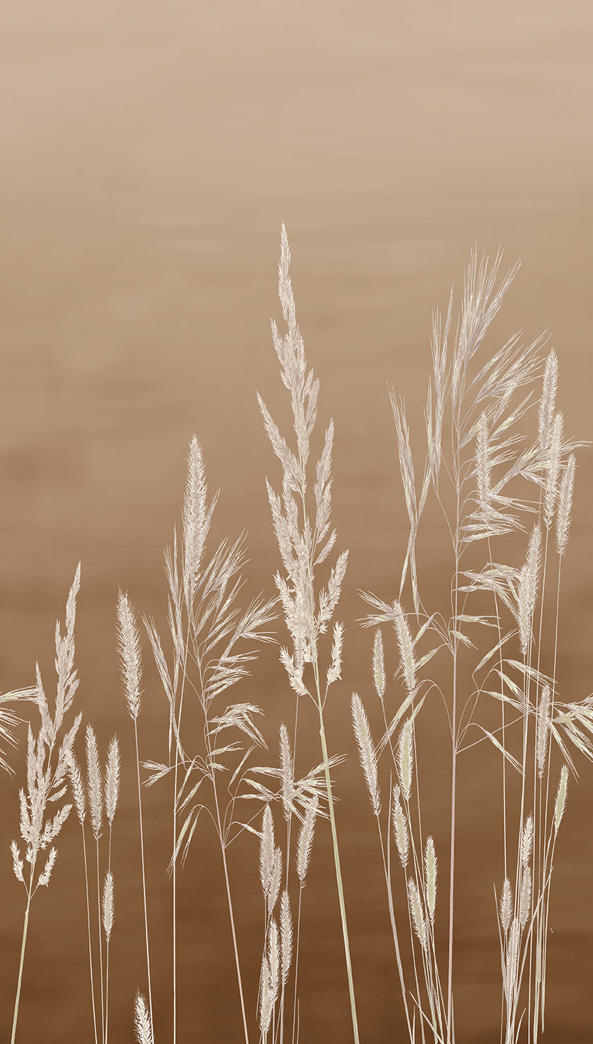 #color_Brown