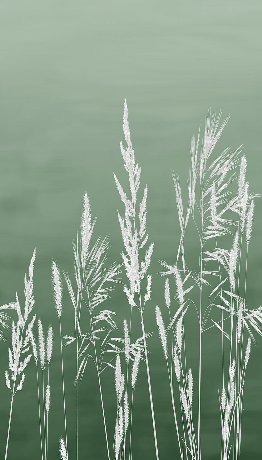 #color_Green