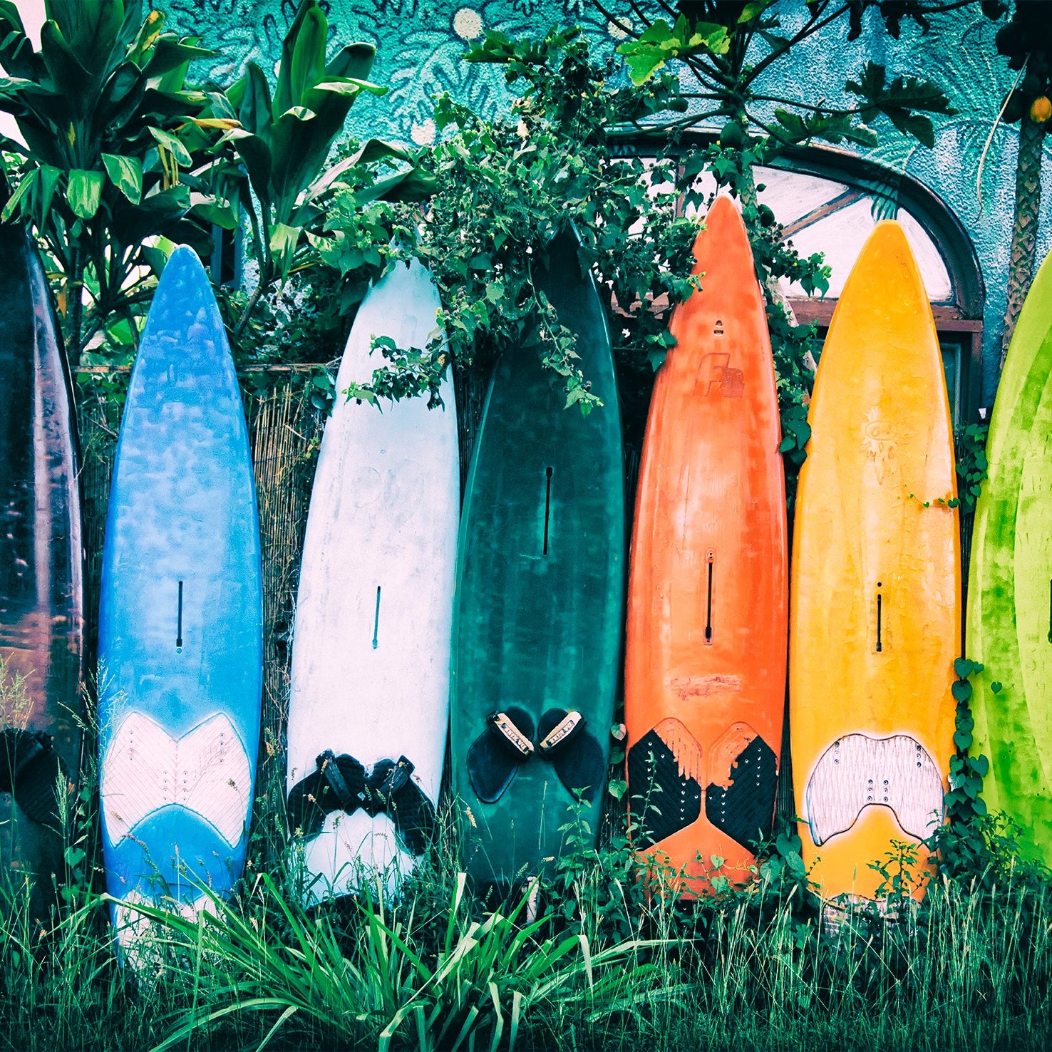 #color_Multi