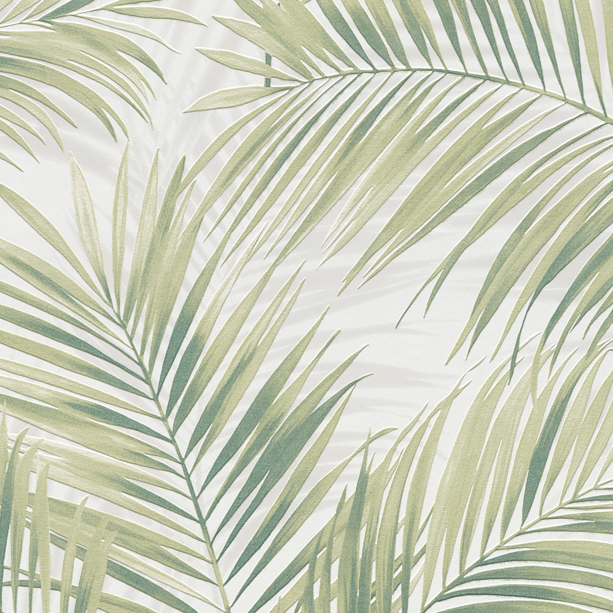 #color_Green #size_Roll