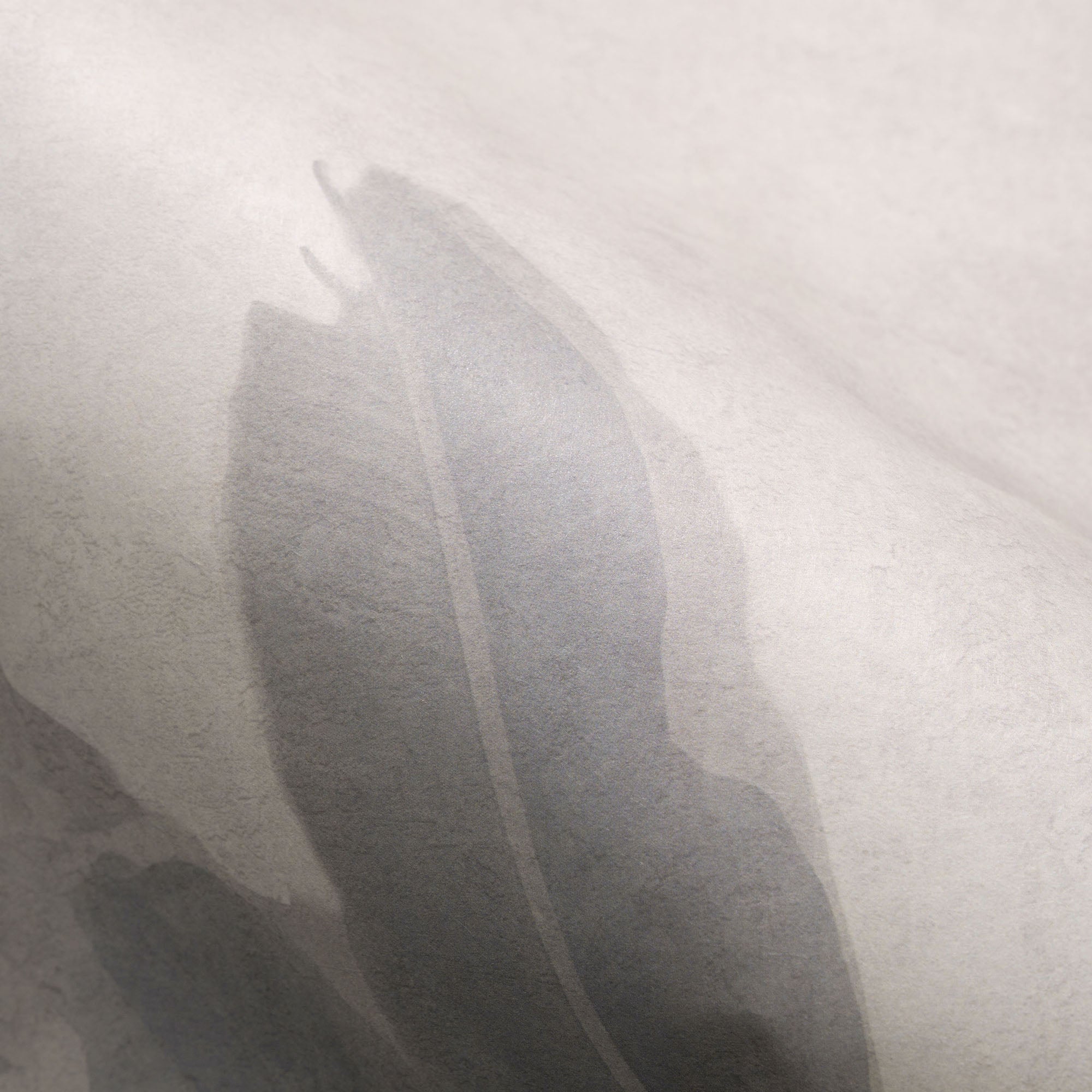 #color_grey
