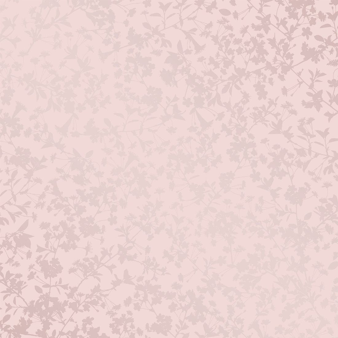 #color_purple