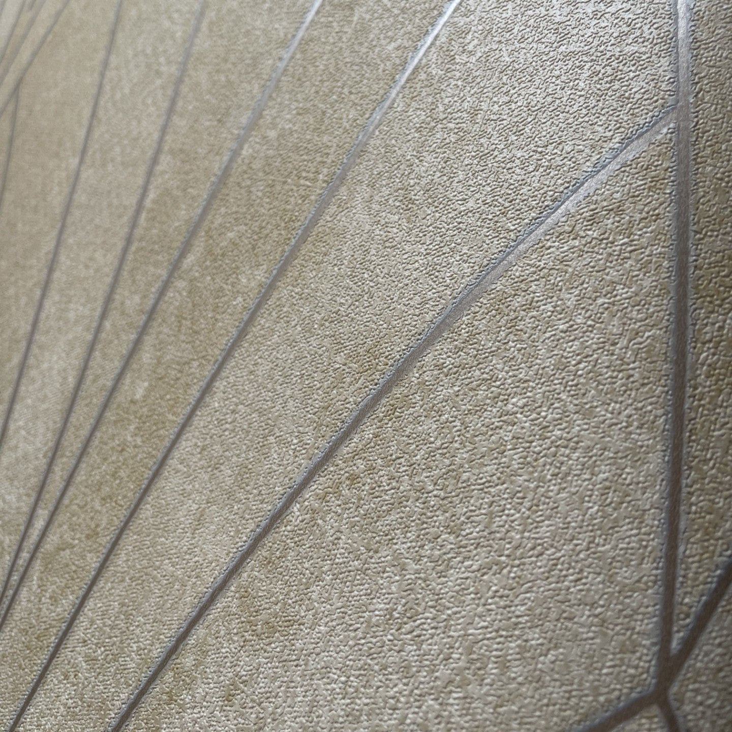 #color_beige ground