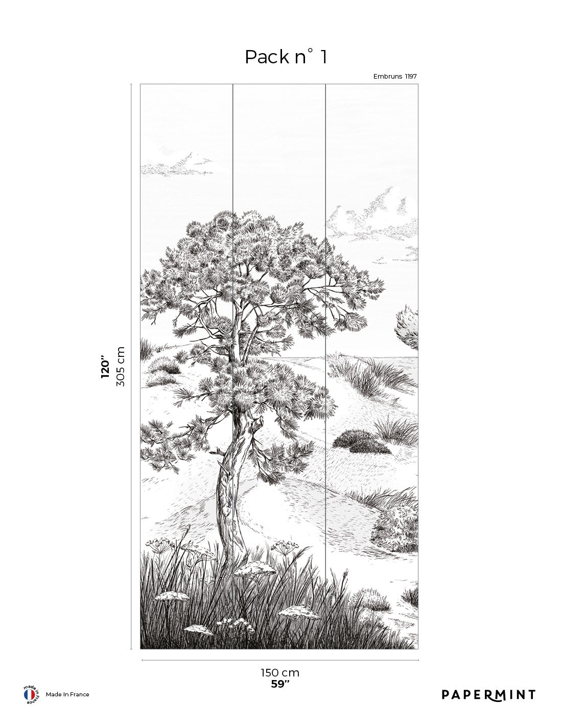 Wild Coast Wall Mural