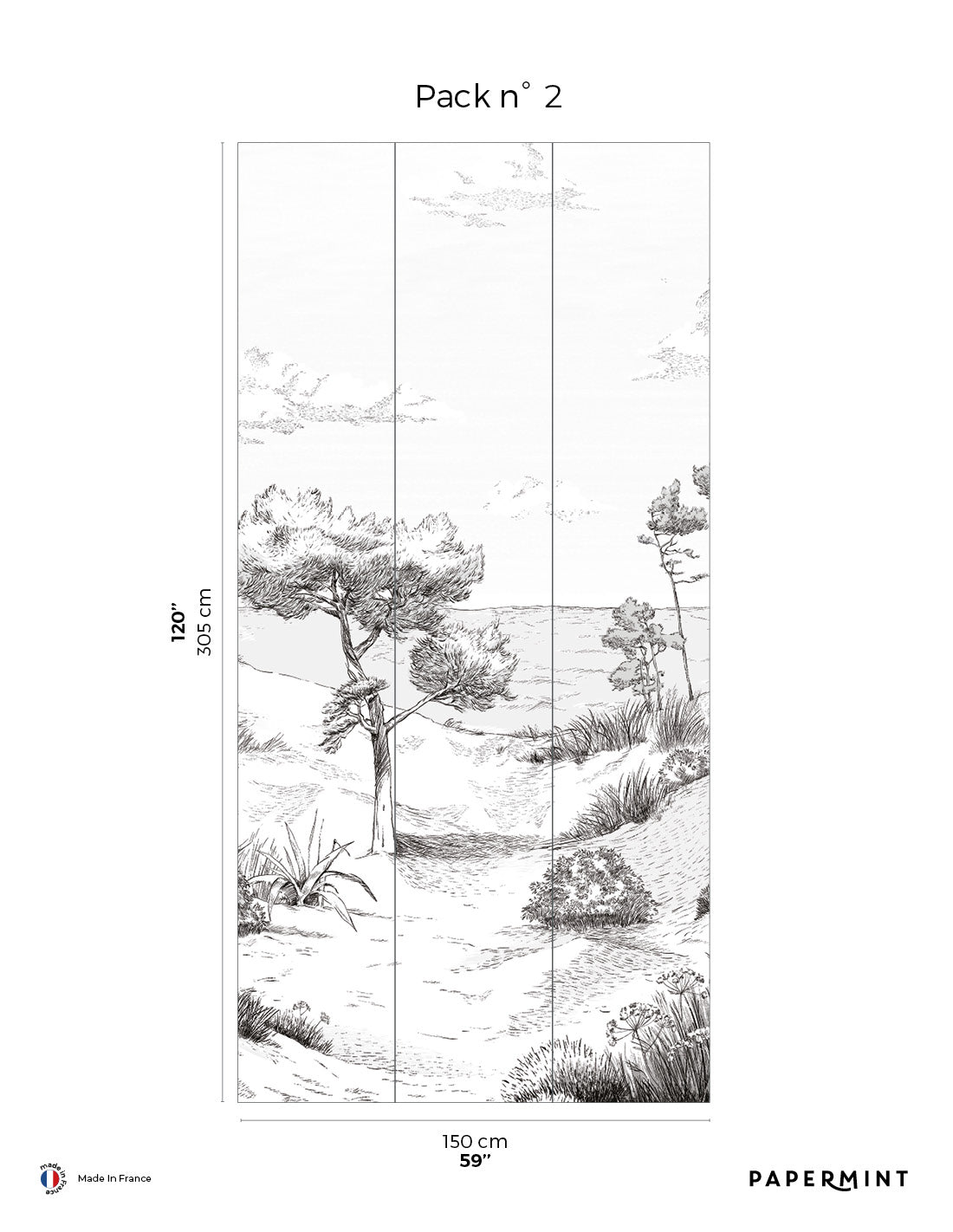 Wild Coast Wall Mural