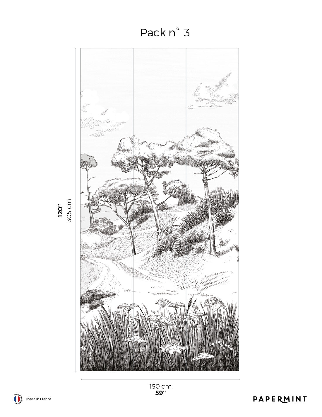 Wild Coast Wall Mural